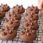 Double Chocolate Chip Cookies Recipe