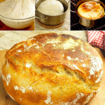 No-Knead 5-Minute Easy Bread