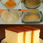 CASTELLA CAKE