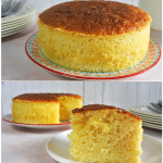 Delicious Condensed Milk Cake