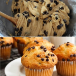 Chocolate Chip Muffins