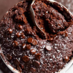 LOW FAT CHOCOLATE MUG CAKE