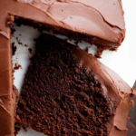 BEST FUDGY CHOCOLATE CAKE