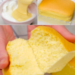 Sponge cake