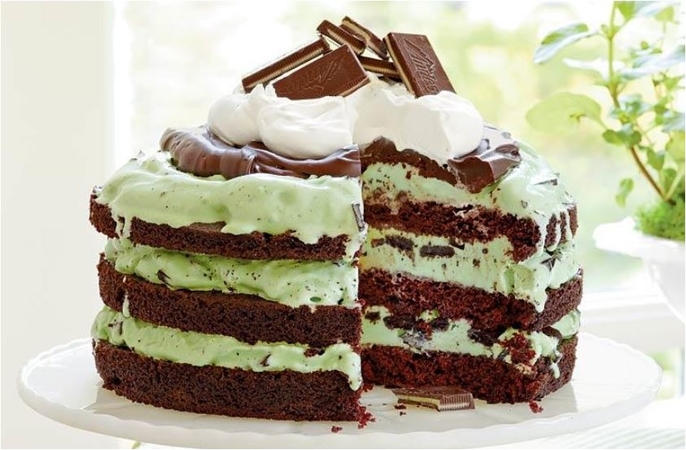 Mint Chocolate Cake